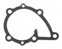 Engine Water Pump Gasket
