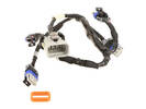 Engine Wiring Harness