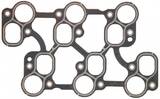 Fuel Injection Plenum Gasket