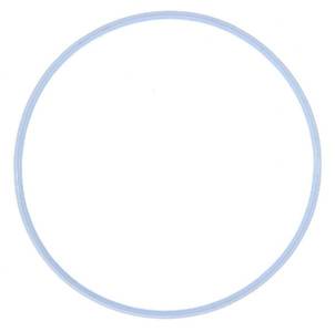 Engine Camshaft Sensor O-Ring