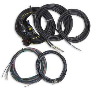 Engine Control Module (ECM) Wiring Harness