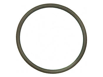 Engine Coolant Manifold O-Ring