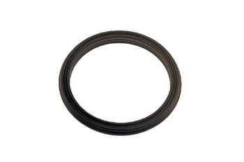 Engine Coolant Thermostat O-Ring