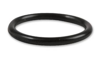 Engine Oil Cooler O-Ring