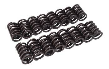 Engine Valve Spring Kit