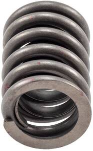 Engine Valve Spring