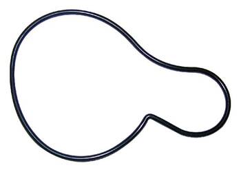 Engine Water Pump Seal