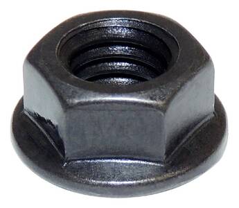 Exhaust Manifold Nut