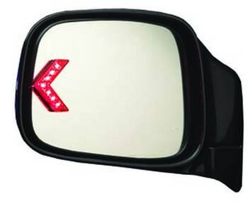 Door Mirror Turn Signal Light