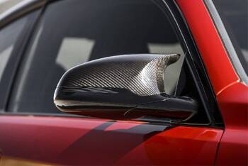 Door Mirror Cover
