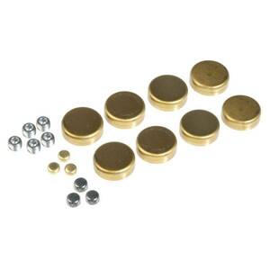 Engine Expansion Plug Kit