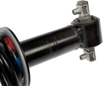 Suspension Strut and Coil Spring Assembly