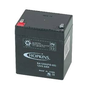 Vehicle Battery