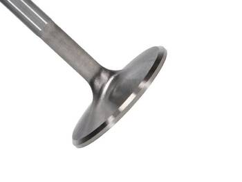 Engine Intake Valve