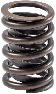 Engine Valve Spring