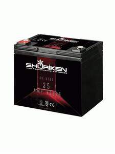 Vehicle Battery