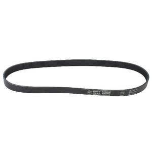Serpentine Belt