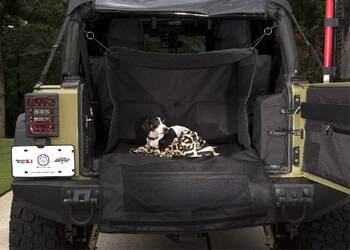 Pet Restraint
