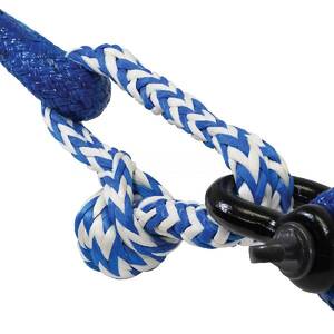 Winch Shackle