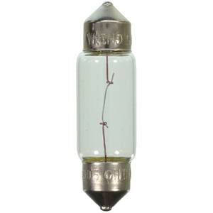 Reading Light Bulb