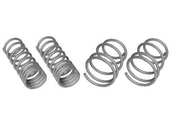 Coil Spring Set