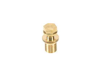 Direct Injection High Pressure Fuel Pump Bolt