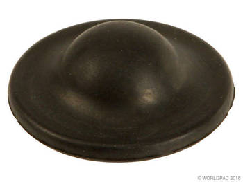 Door Jamb Switch Cap