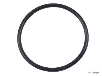 Engine Balance Shaft O-Ring