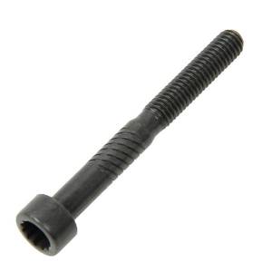 Engine Camshaft Cap Bolt