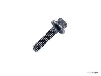 Engine Timing Chain Guide Bolt