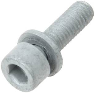 Fuel Pump Injection Bolt