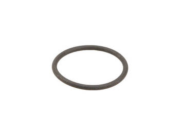 Fuel Pump Strainer O-Ring