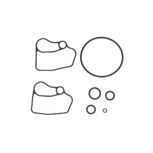 Rack and Pinion Valve Body Seal Kit