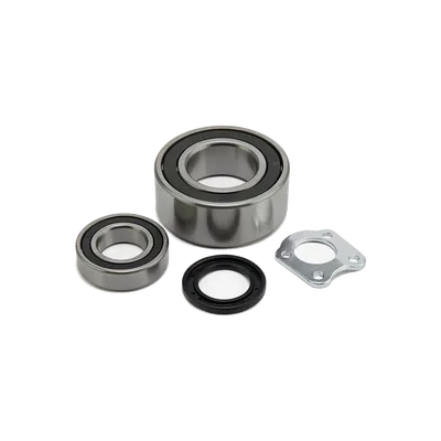 Axle Differential Bearing and Seal Kit