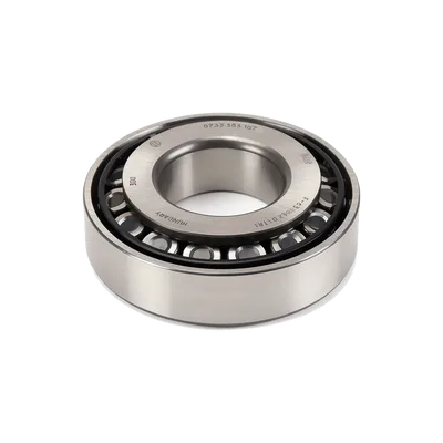 Differential Pinion Bearing