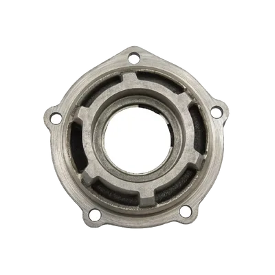 Differential Pinion Support