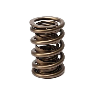 Engine Valve Spring