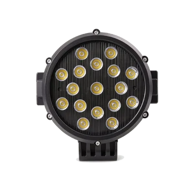Fog Light