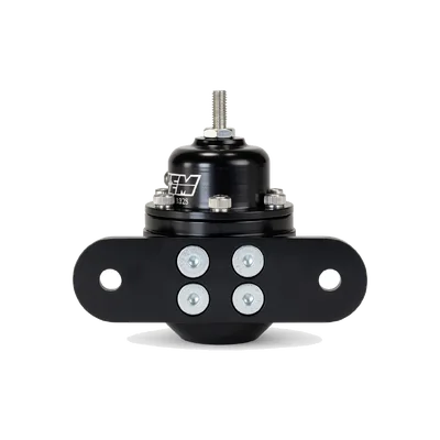 Fuel Injection Pressure Regulator