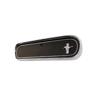 Glove Box Door
