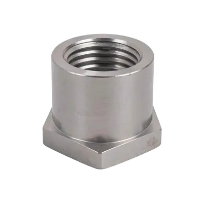 Oxygen Sensor Bung