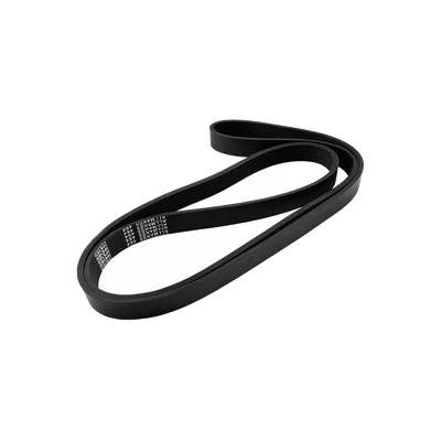 Serpentine Belt