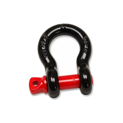 Winch Shackle
