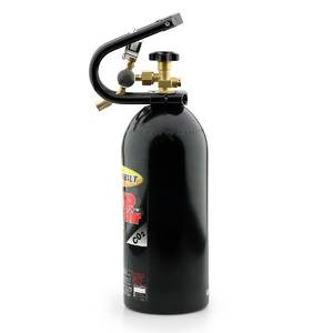 Fuel Injection Pressure Regulator