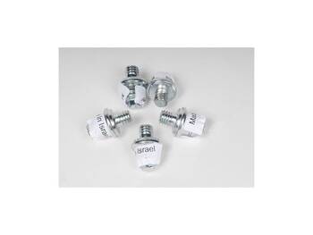 Battery Terminal Bolt