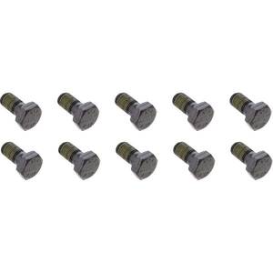 Differential Ring Gear Bolt Kit