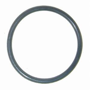 Engine Coolant Thermostat O-Ring