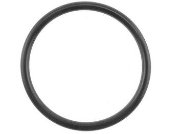 Engine Water Pump Inlet Pipe O-Ring
