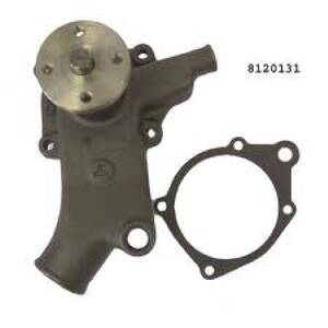 Engine Water Pump Seal