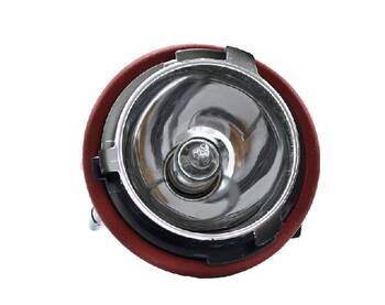 Headlight Socket